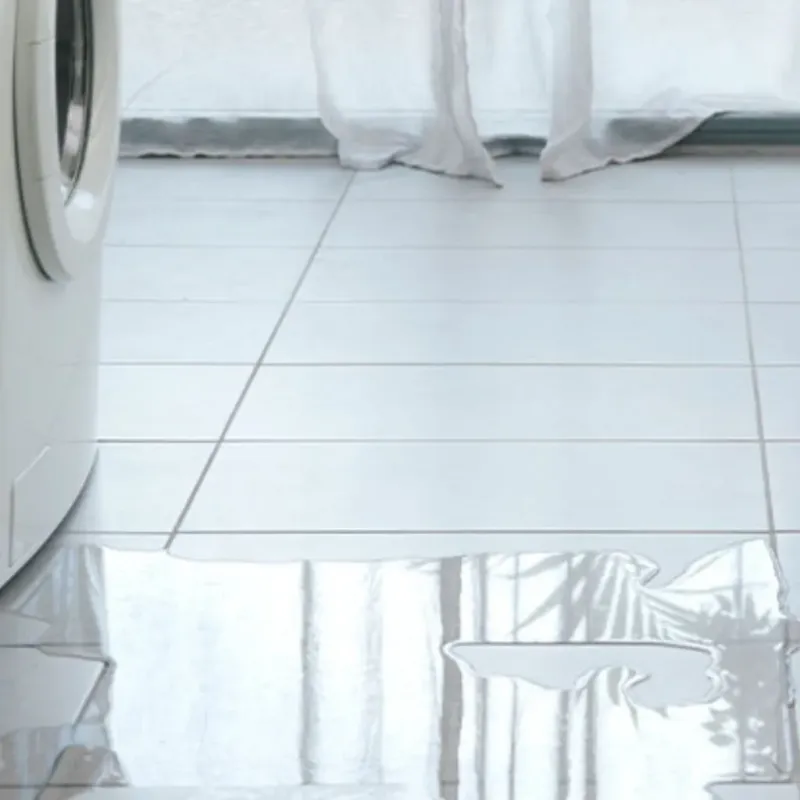 Appliance Leak Cleanup in Heritage Pines, FL