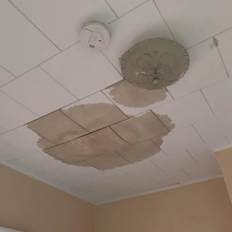 Ceiling Water Damage Repair in Heritage Pines, FL
