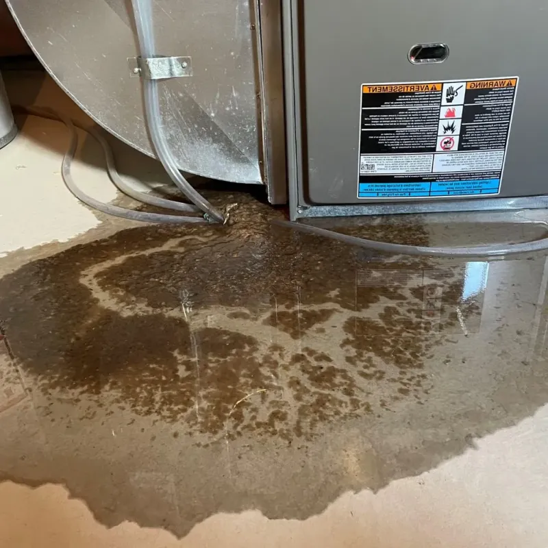 Pipe Burst and Leak Restoration in Heritage Pines, FL