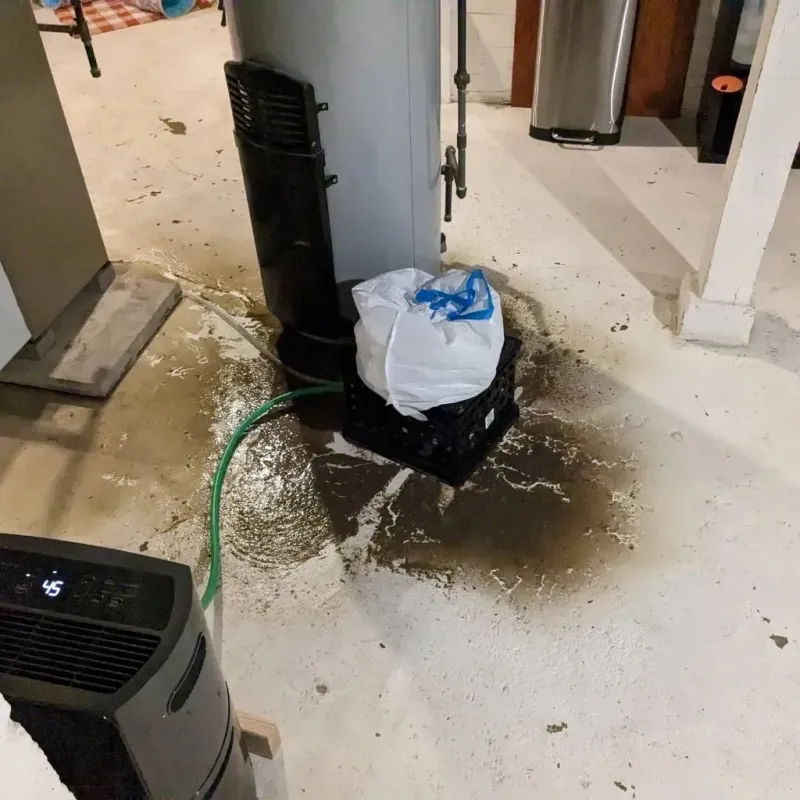 Sewage Backup Cleanup Service in Heritage Pines, FL